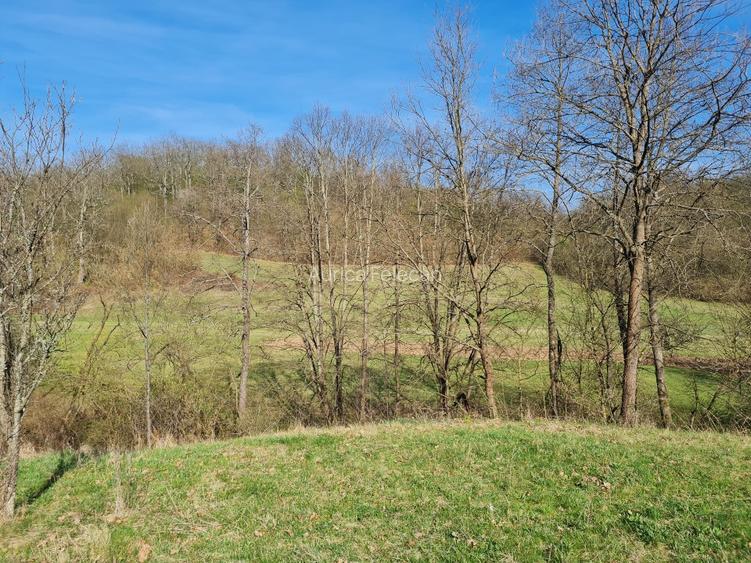 Proprietar vand casa+ teren 13000mp, Steia, Tomesti, jud. Hunedoara, 20km de Bra - 16