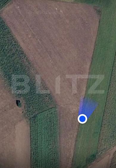 Teren extravilan, 3900 mp, zona Cumparatura