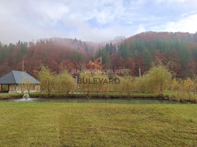 Proprietate cu potențial turistic în zona montană a Țării Lăpușului - 7