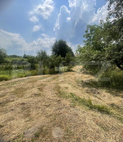 Teren intravilan 3.200 mp | Budacu de Jos | Deschidere la 2 drumuri asfaltate - 4