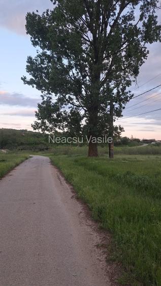 Teren de vanzare in orasul Urlati - 6