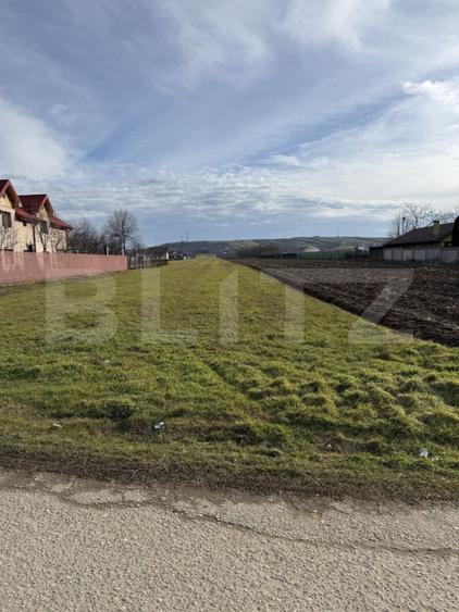 Teren intravilan, 1500 mp, zona Albesti