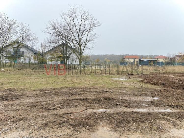 Teren intravilan de vanzare in Snagov – Ciofliceni - 4