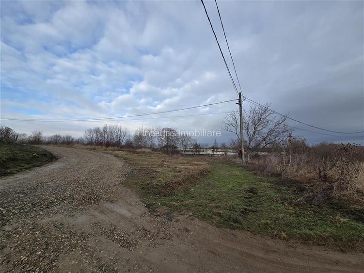 Teren intravilan,dublu front,Paleu,Oradea,Bihor - 2