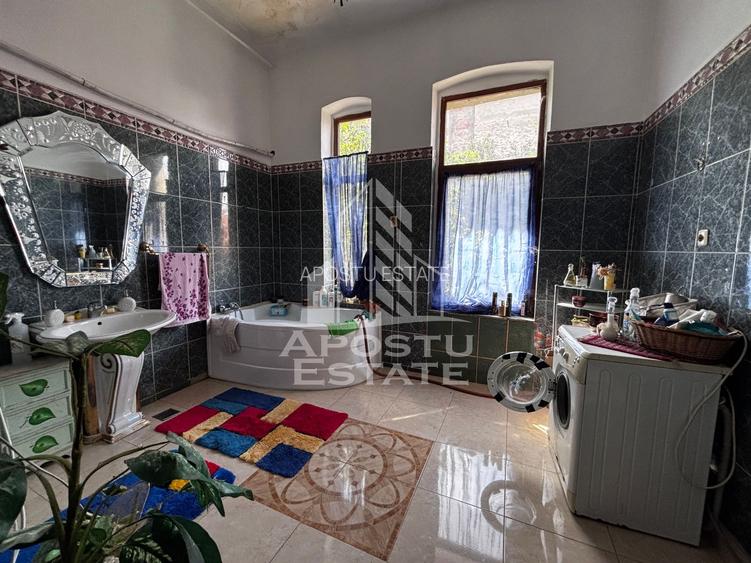 Casa cu 10 camere de inchiriat, zona Centrala, Timisoara - 23