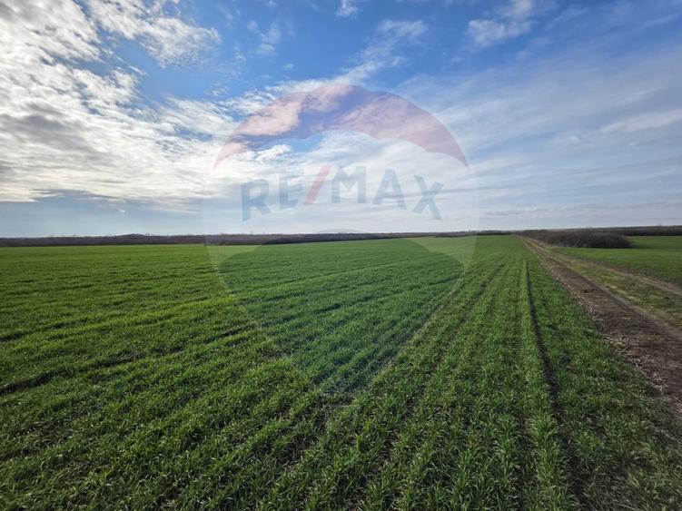 Vânzare teren agricol 12 ha, Giarmata - Jud. Timiș
