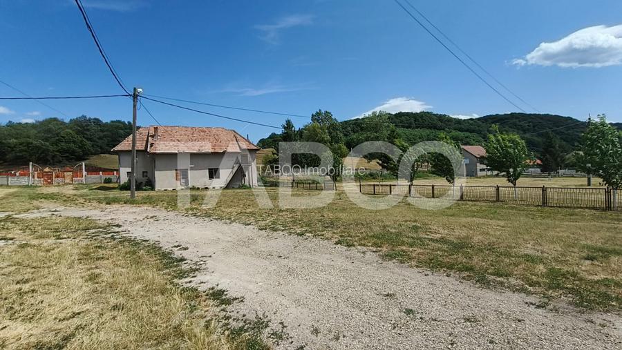 Platforma industriala cu cladiri de vanzare in Salistea de Alba - 21
