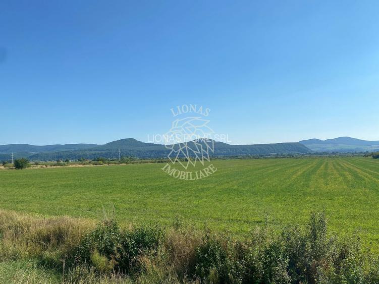 Teren 13400mp la DN 17-parcelabil Podirei - 4