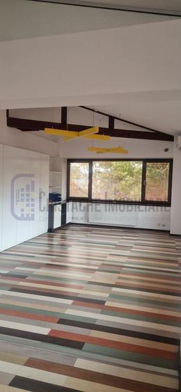 Vila P+2, suprafata 380 mp, Principatele Unite, Piata Unirii