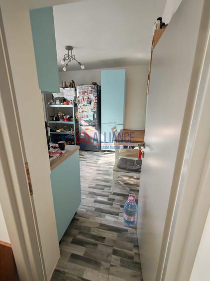 OVIDIU Casa eleganta complet mobilata „la cheie”