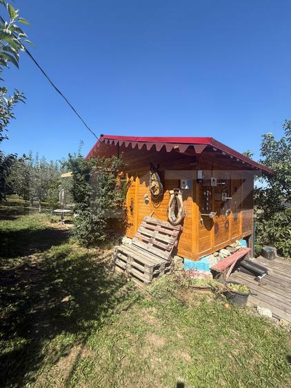 Teren intravilan, 2232 mp, Lisaura