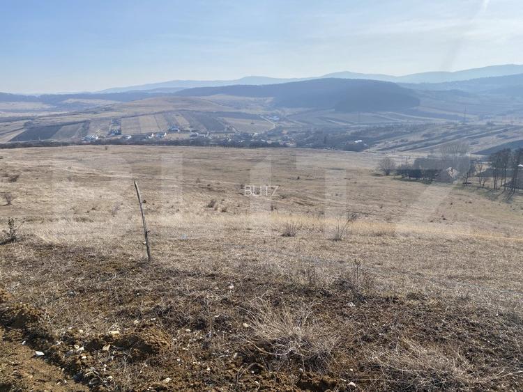 Teren extravilan in suprafata de 140551 mp in loc. Recea - 11
