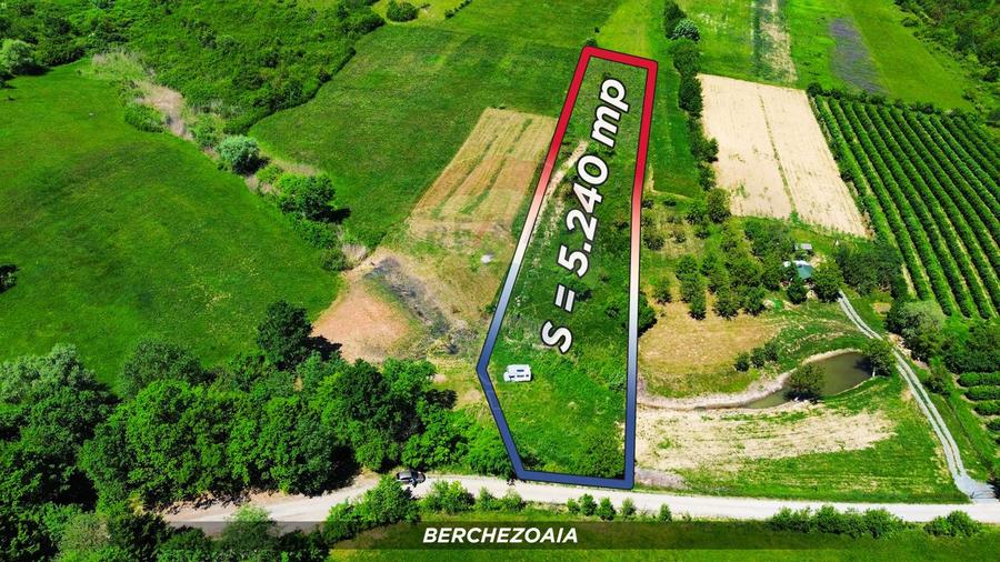 Teren cu panorama superba in Berchezoaia + bonus rulota