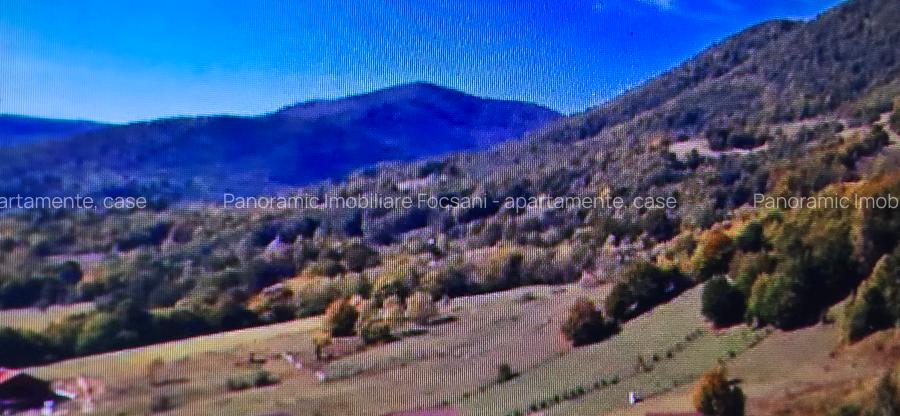 Teren de vanzare Lepsa-Gresu, 57000 mp, cu doar 1 euro/mp - 13