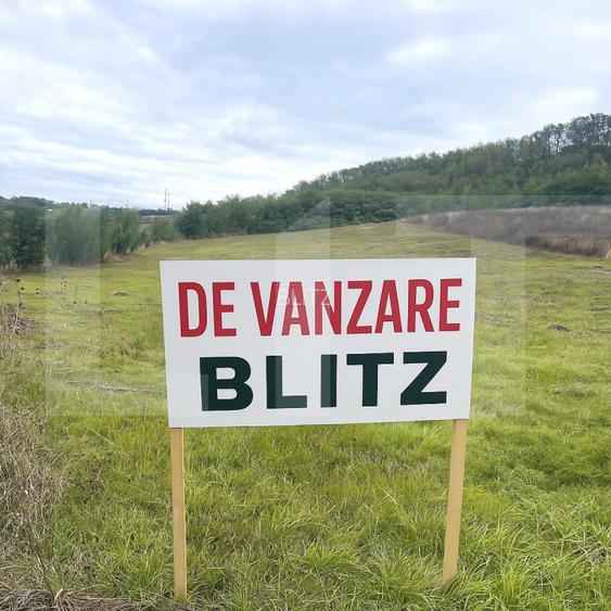 Teren extravilan de vanzare, 5.800 mp, zona Manolești-Botoșani