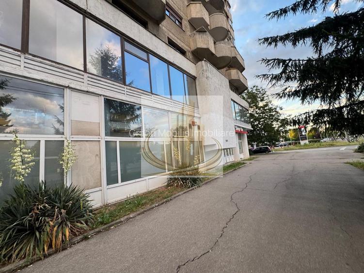 Spațiu comercial | Etaj 1 | Calea Aradului | Showroom, clinică,birouri - 9