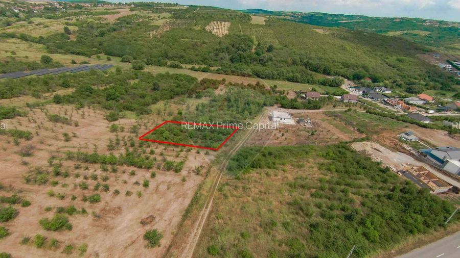 Teren intravilan 1,163mp de vânzare în Săldabagiu De Munte - 9