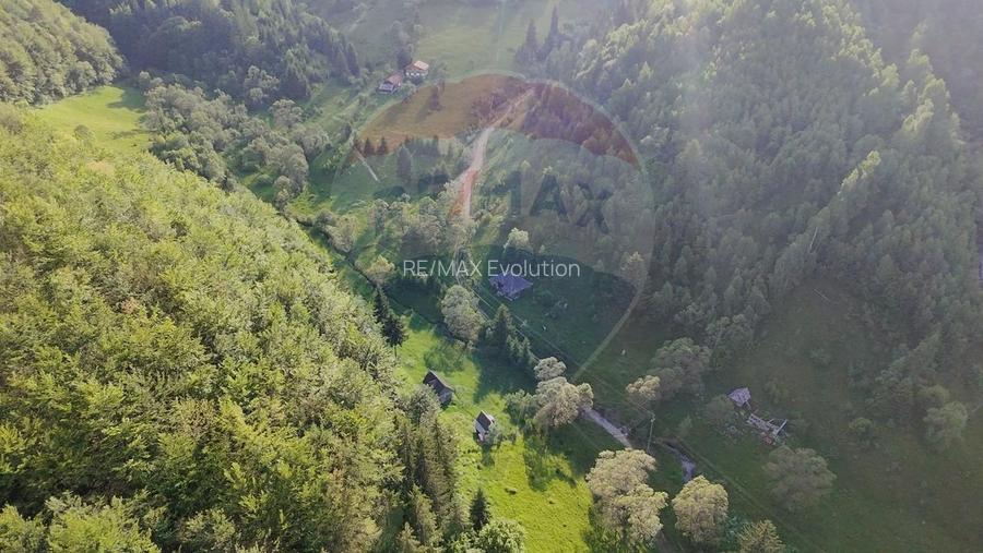 Teren 38,704mp Sirnea | 2.000 mp Intravilan | 36,704 Extravilan - 2