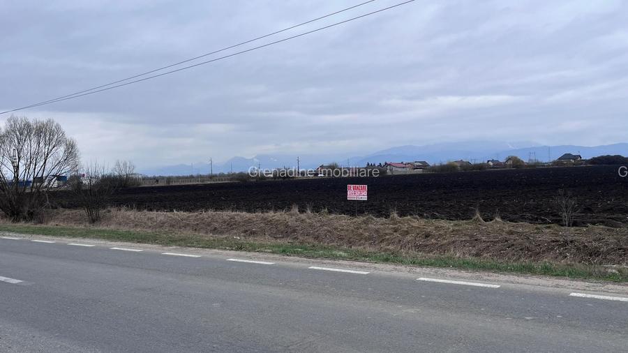 Teren 50000mp Extravilan-Intrare Halchiu-Cod 5235 - 2