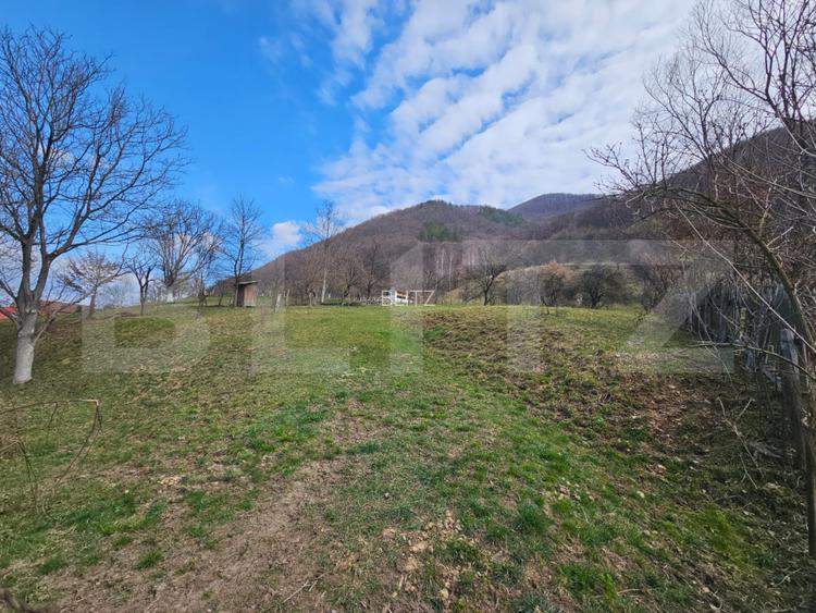 Teren intravilan generos de 4000 mp, cu priveliște montană, Cugir - 5