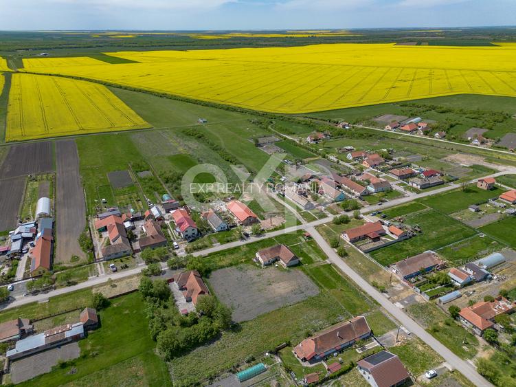 DE VÂNZARE: 1.448 MP DE „LINIȘTE PURĂ” LA NIȚCHIDORF - 6