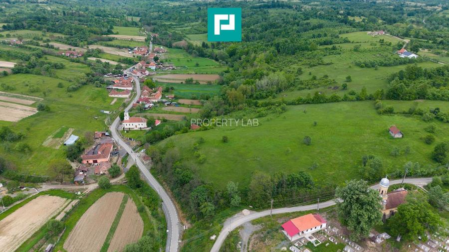 Proprietate de poveste pe Valea Mureșului, Lupești - 7