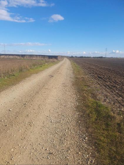 Teren 1 Decembrie, Ilfov | Deschidere 60 mp
