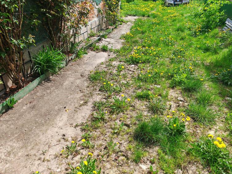 Casa 4 camere libera la vanzare RASNOV - zona Florilor