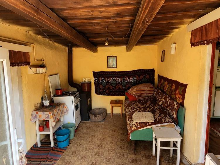 Casa de vanzare in Armeni - 3