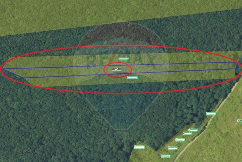 Padure de vanzare – 7.000 mp, Dealu Morii, jud. Bacau