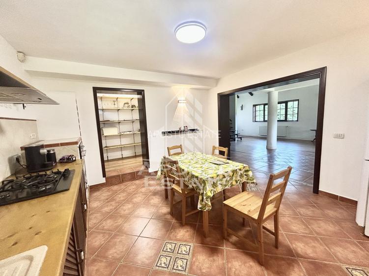 Casa cu 5 camere de inchiriat, curte proprie, Sanmihaiu Roman, Timis - 33