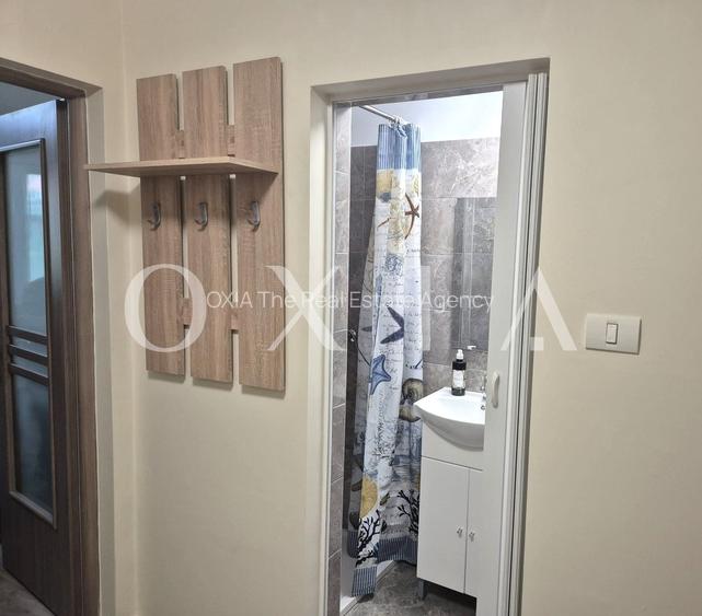AX1289 Lipovei, Prima Inchiriere, Renovat, Etaj Intermediar - 10