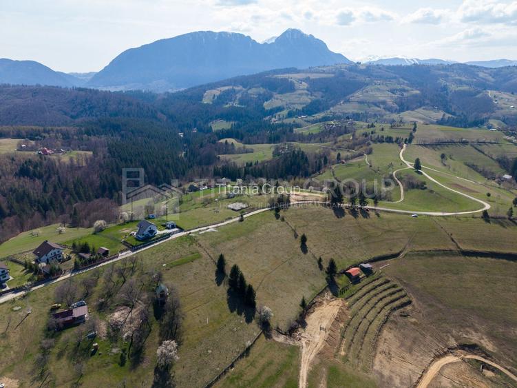 🌿 Teren Intravilan 3.791 mp | Priveliște Panoramică Superbă | Poiana Mărului - 5