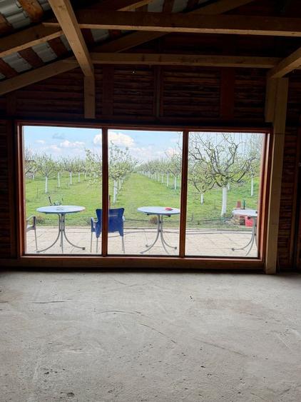 De vanzare in Sânmartinu Sârbesc, com Peciu Nou, casa cu livada