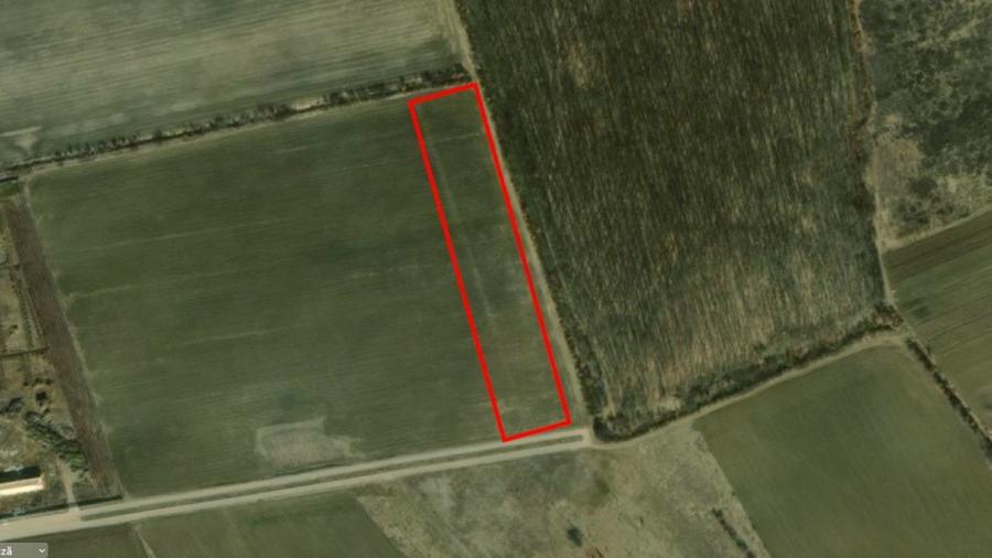 REL4000892 Corbeana - Ostratu 15200 mp langa padure