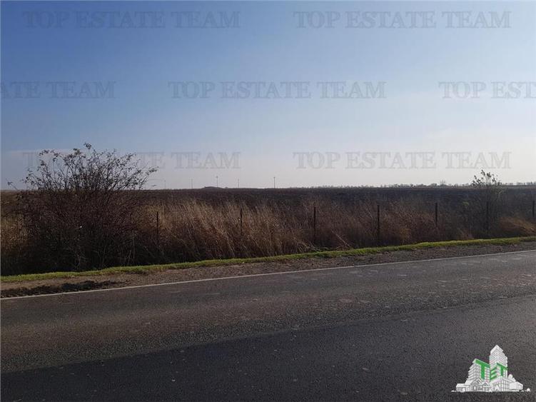 Teren extravilan - Braila - E584 - vanzare