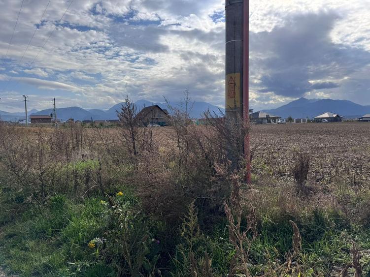 Teren dezvoltare rezidentiala Tarlungeni - zona Izvor