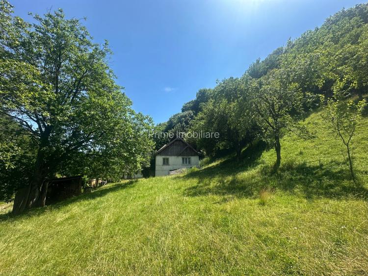 Casa de vacanta 98 mp| 25.000 mp teren| zona Valea Vintului - 7