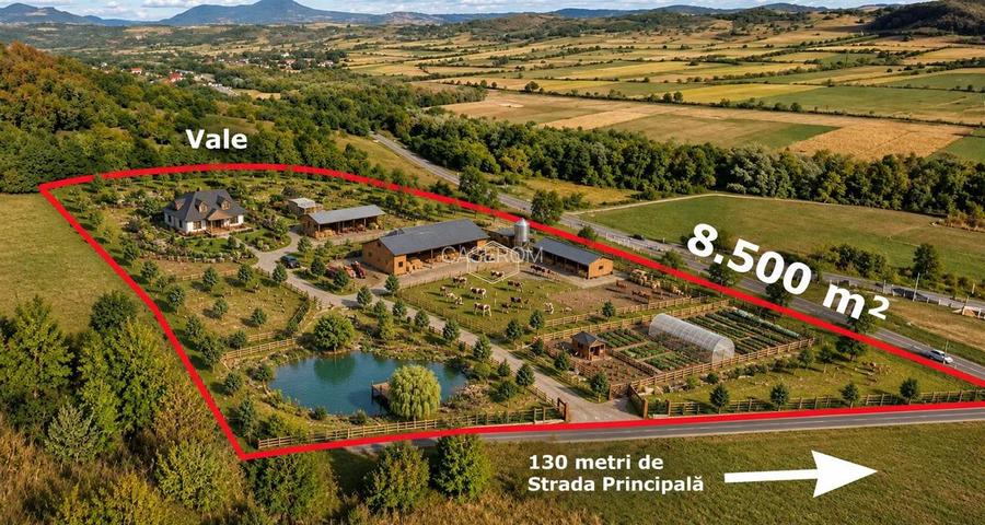 VIDEO | Super view | Teren 8.500 m² in Maramures | Viitorul tau colt de liniste