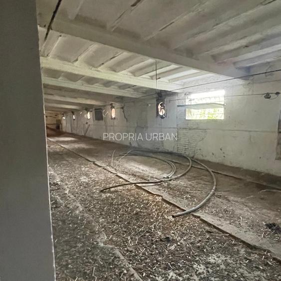 Complex industrial/Ferma de vânzare | Orțișoara, jud. Timiș - 31