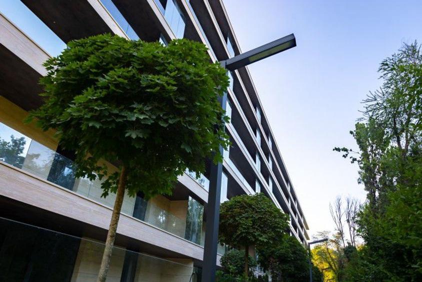 Apartament de vanzare 3 camere zona Floreasca, Bucuresti 203.8 mp