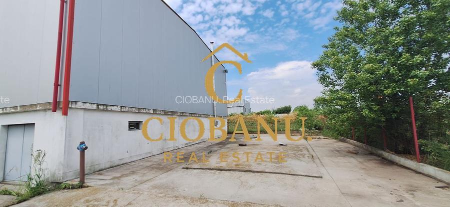 Hală industrială de vânzare / închiriere – 1.120 mp | Pielesti - 12