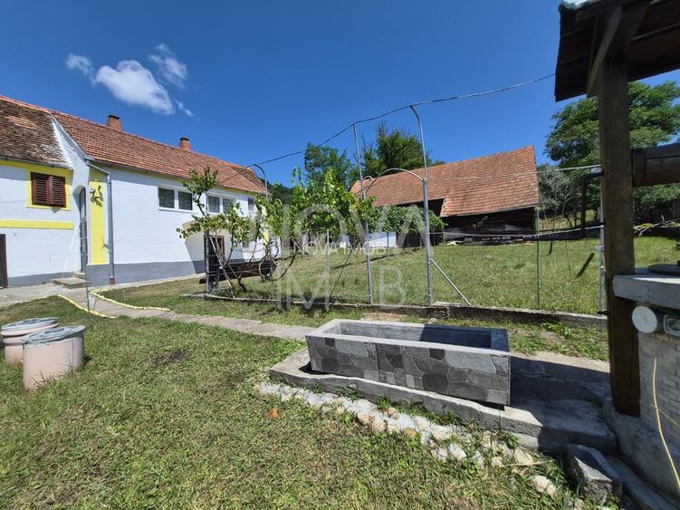 Casa individuala cu teren generos – 8.356 mp – Tichindeal, jud. Sibiu - 19