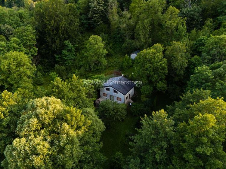 Casă de vânzare cu teren 2.340 mp și pârâu propriu — Bălilești, Argeș - 2