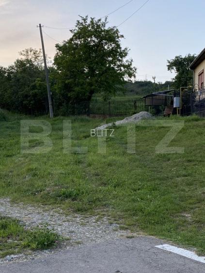Teren intravilan, 21.450 mp, utilitati, acces autostrada, sat Dumbrava - 6