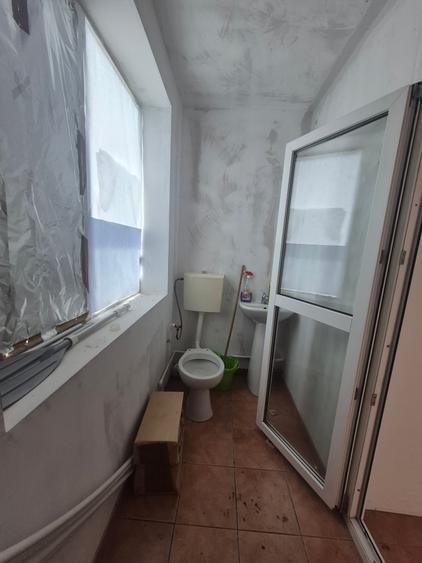 Lehliu gara casa