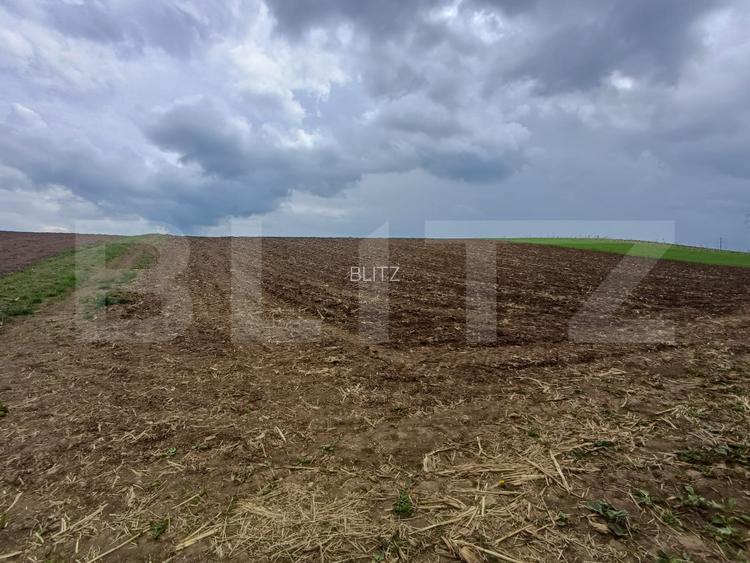 Teren de vanzare extravilan, 50 ari, Cumparatura - 5