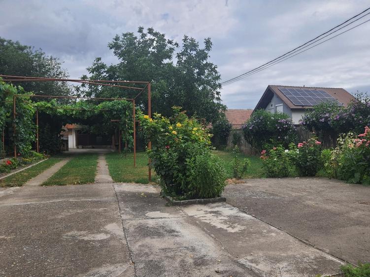 Casă individuală, St = 3.000 mp | Biled, jud. Timiș