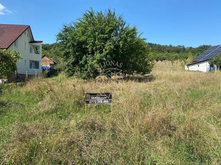 Teren intravilan 1300 mp-Viile cu Pomi-Unirea-Exclusiv