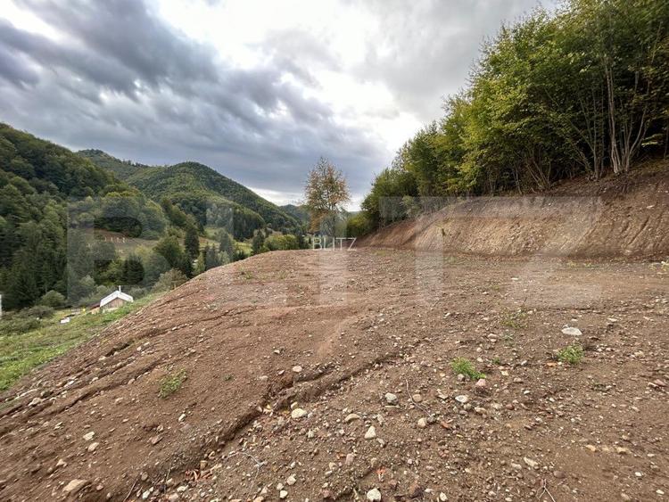 Teren intravilan 1,1 Ha, zona Bargau - 6